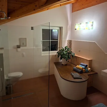 Haus Steger Apartment Flachau