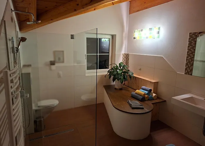 Haus Steger Apartment Flachau