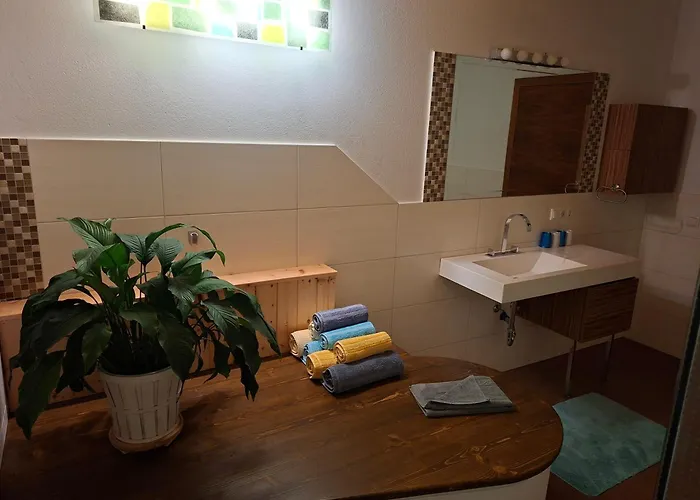 Apartment Haus Steger Flachau