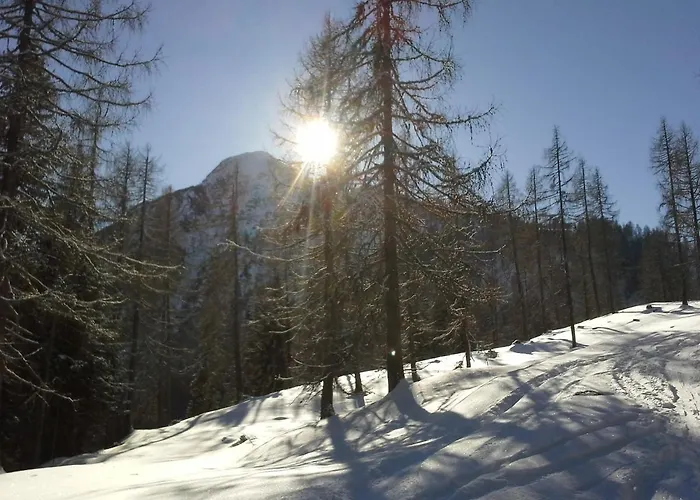 Haus Steger Apartment Flachau